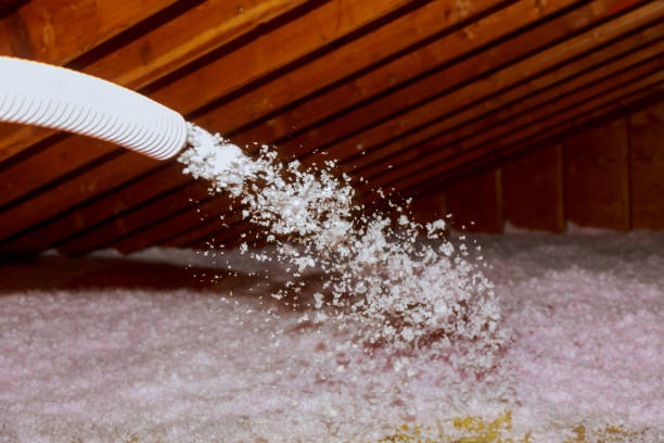 Best Residential Insulation in Moriarty, NM