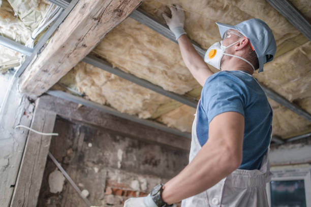 Best DIY Insulation Kits and Guidance in Moriarty, NM