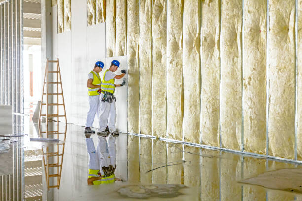 Best Specialized Insulation Services in Moriarty, NM